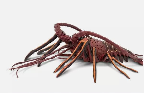 Safari Ltd – Spiny Lobster Figurine 100076