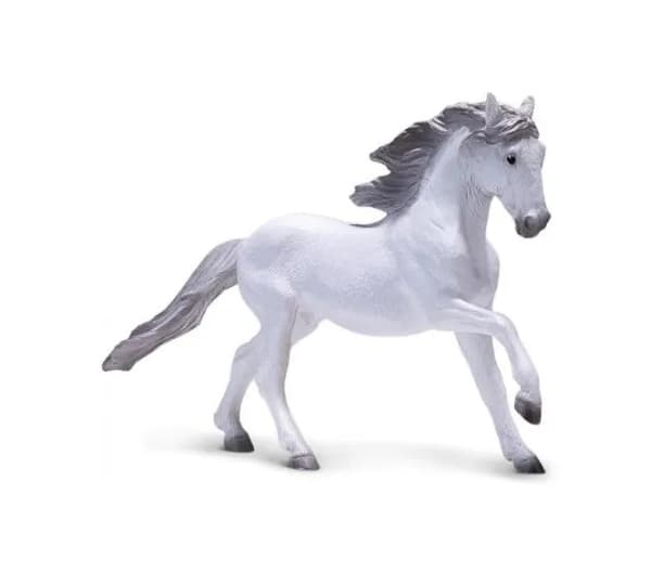 Mojo, a white Lusitano horse