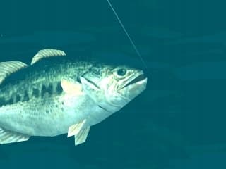 Fisherman's Bait | PS1/PSX | ENG