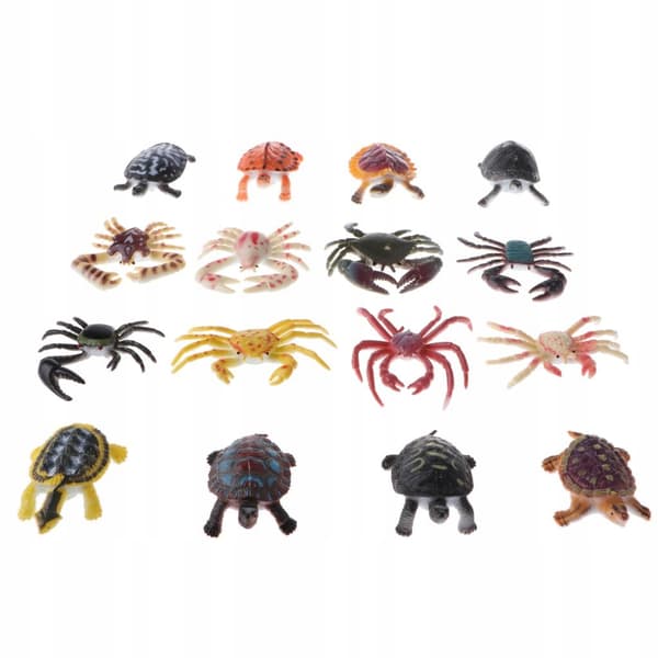 16 PVC Tortoise-themed Educational Figures for Children