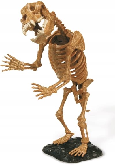 Cave Bear Skeleton, 21 cm, DELUXE – Geoworld Dinosaur Expedition
