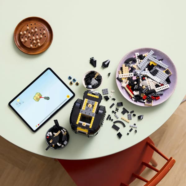 LEGO Ideas Black and White Cat 21349