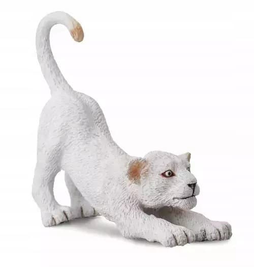 A white lion cub stretching.