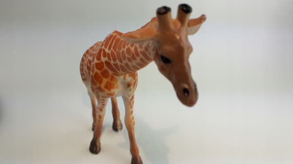 Animals: Lion, Giraffe, Zebra, Hippopotamus