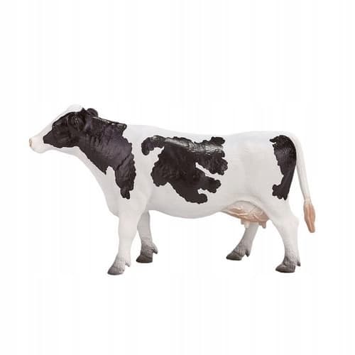 Mojo, the Holstein cow