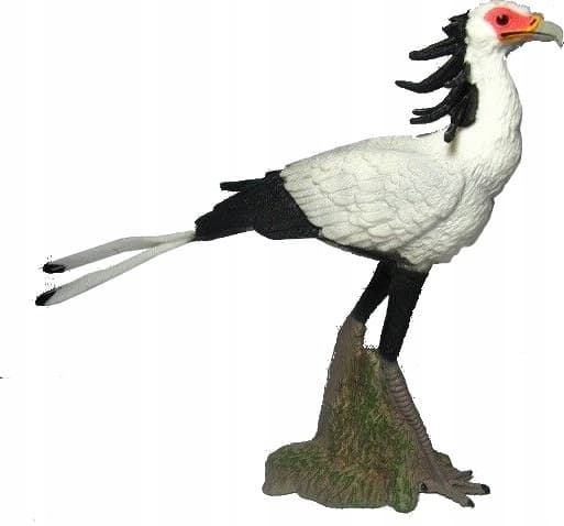 Secretary Bird L