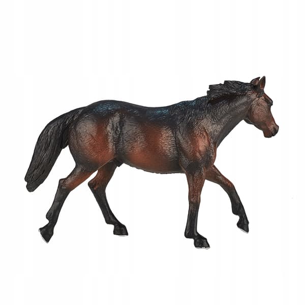 Mojo, a brown Quarter Horse