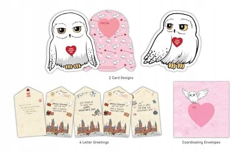 HARRY POTTER: OWL POST SUPER VALENTINES: SCHOOL VALENTINES (BOOK)