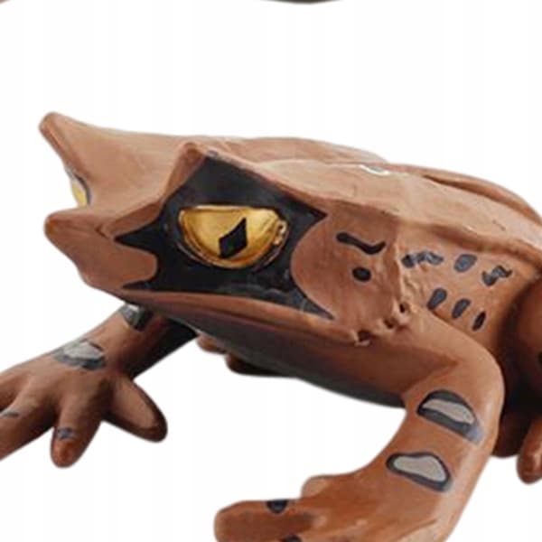 Montessori Frogs: Life Cycle Model – Animals, Style D
