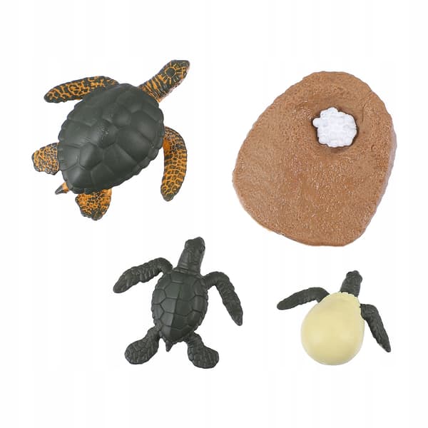 EDUCATIONAL SET OF SEA TURTLE MODELS FOR DECORATION