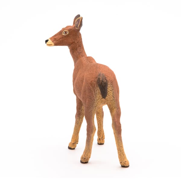 ŁANIA – DOE – PAPO – 53014