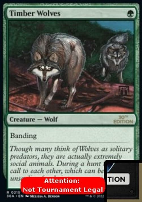 Magic: The Gathering Timber Wolves