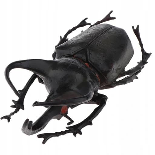 3x Lifelike Beetle Figures – Insects