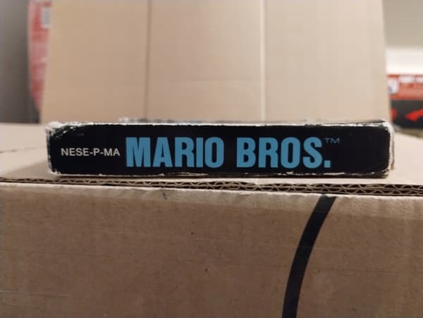The NES Mario Bros game