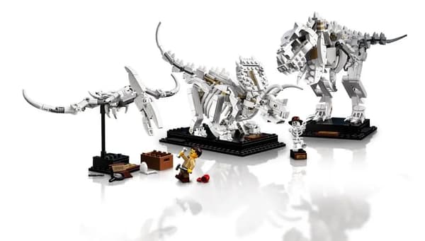 LEGO Ideas 21320 Dinosaur Skeletons