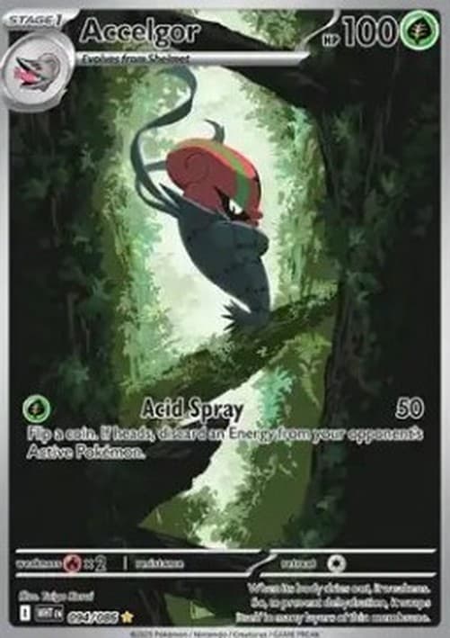 Pokemon TCG Accelgor