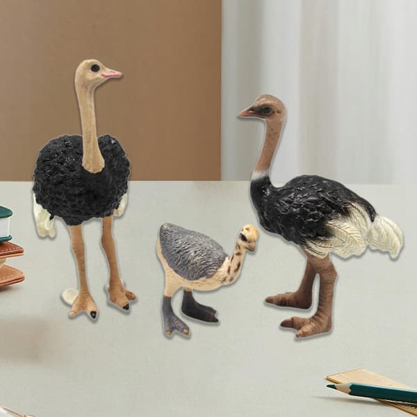 3x Bird models Ostrich model Animal figurines Sculptures Science Educational