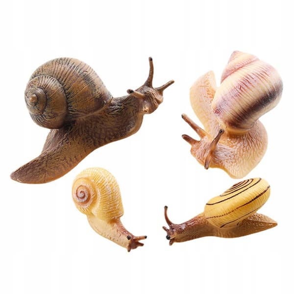 4-PIECE REALISTIC SNAIL MODEL – CAKE DECORATION AND EDUCATIONAL AID