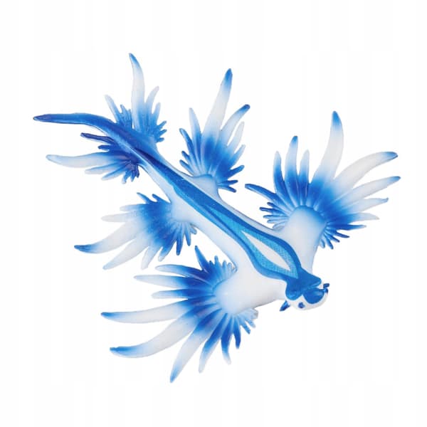 Simulation, Sea Slug Models, Animal Figures, Ornaments, Party Supplies