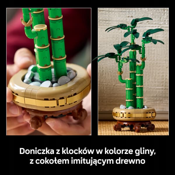 LEGO Botanicals Dracaena sanderi 10344
