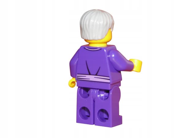 NEW LEGO Ninjago Minifigure – POSTMAN – njo164