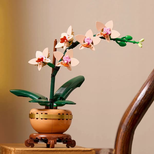 LEGO Botanicals Little Orchid 10343