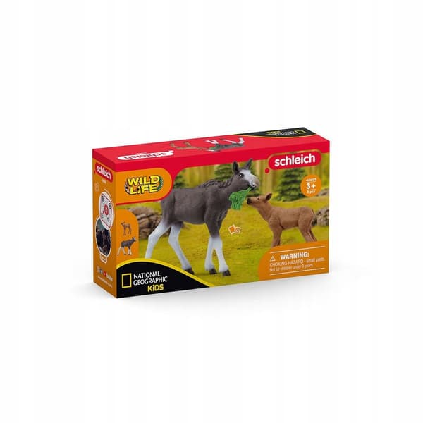 Moose with a calf 42603