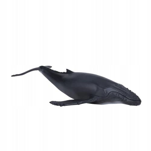Mojo Oceanic Fin Whale, Humpback Whale - 387119
