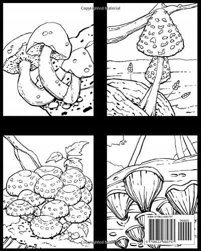 Mushrooms: A Colouring Book for Adults