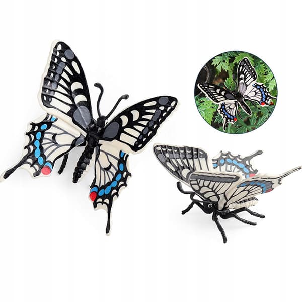 Educational resources for learning about animal models: Swallowtail Butterfly Favours