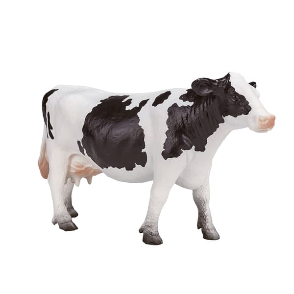 Mojo, the Holstein cow