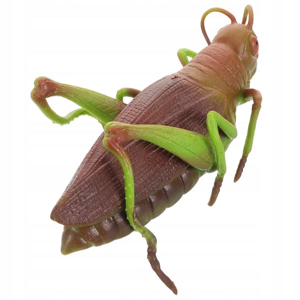 SOFT GRASSHOPPER – EDUCATIONAL TOY AND ROOM DECORATION