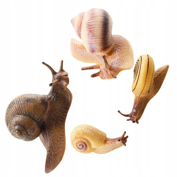 4-PIECE REALISTIC SNAIL MODEL – CAKE DECORATION AND EDUCATIONAL AID