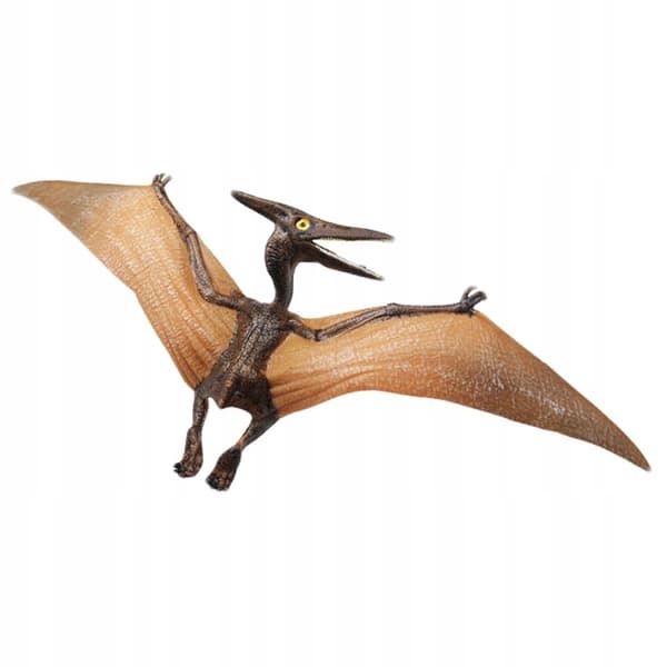 Simulation: Pterosaur and Pterodactyl Dinosaur Models