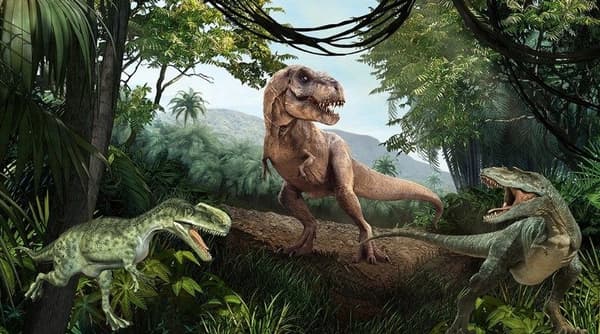Mega Velociraptor dinosaur, 78 cm, latex, hand-painted, Norimpex 21513
