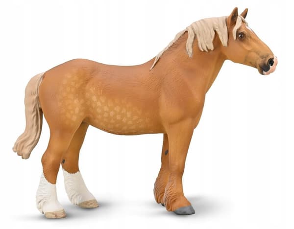 A CHESTNUT-COLOURED BELGIAN MARE, COLLECTA