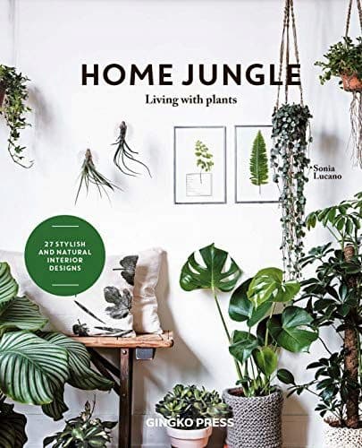 Home Jungle: Decorating Your Home With Plants