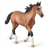 A STANDARDBRED STALLION WITH A CHESTNUT COAT