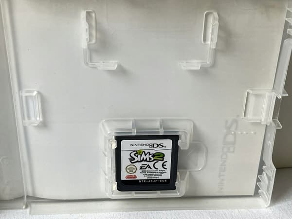 The Sims 2 for Nintendo DS