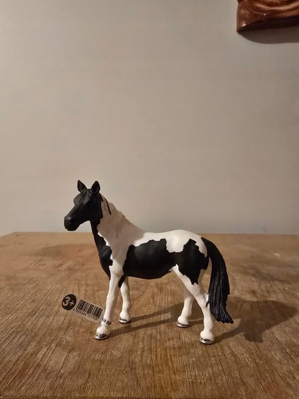 Schleich 13795 Pinto Mare Figurine – a unique, discontinued model from 2010.