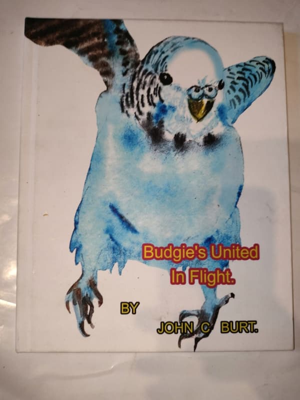 Budgies United in Flight by John C Burt