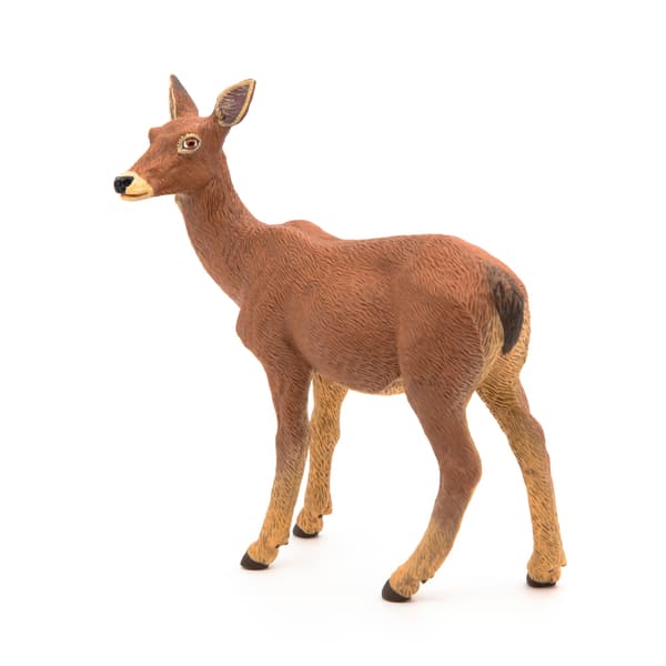 ŁANIA – DOE – PAPO – 53014