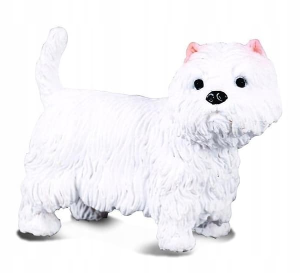 West Highland Terrier