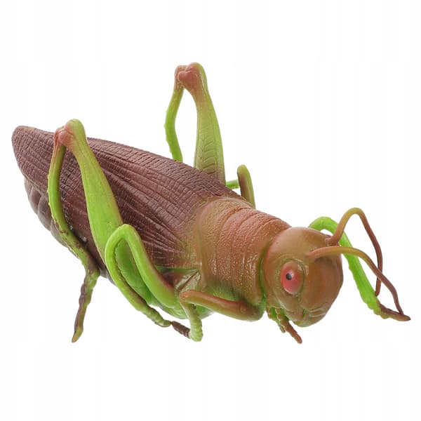 SOFT GRASSHOPPER – EDUCATIONAL TOY AND ROOM DECORATION