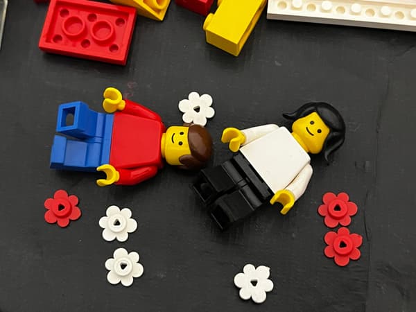 530 LEGO Universal Building Set