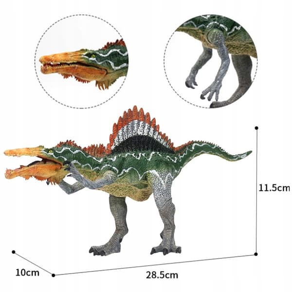 Simulation dinosaur toy figures, a learning model of a spinosaur