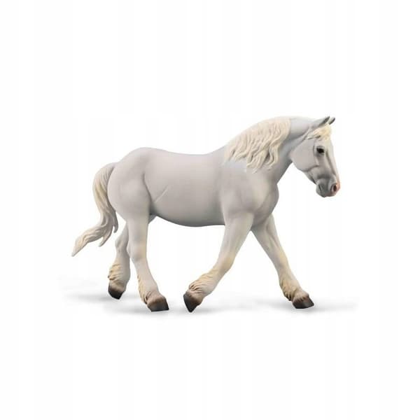 A GREY BOULONNAIS MARE