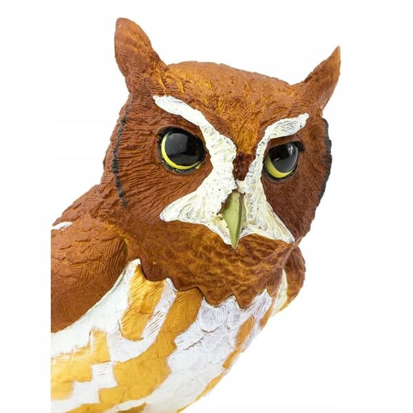 Eastern Screech Owl