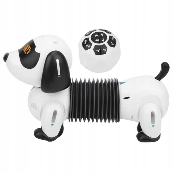 A robot toy for a puppy