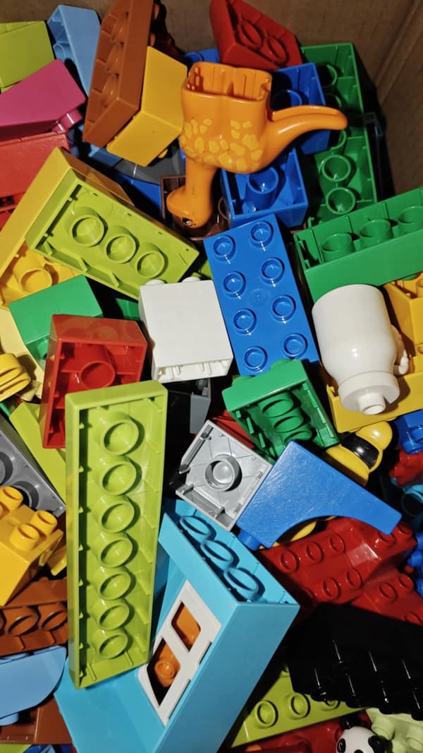 LEGO DUPLO BRICKS: 1 KG OF RANDOMLY SELECTED BRICKS + 2 MINIFIGURES